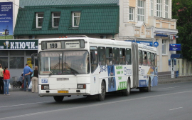 Мэр Омска прокомментировала вероятный запуск ночных автобусов