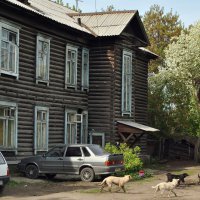 В Омской области активно работает программа по переселению граждан  из ветхого жилья 