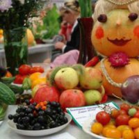 В Омской области подвели итоги празднования регионального Дня садовода