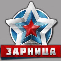 В Омске проходит региональный этап игры «Зарница»