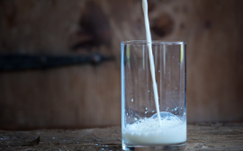 В Омской области подсобным хозяйствам субсидируют расходы на производство молока