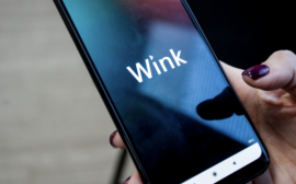 Два кота и домовой: любимые персонажи из детства в исследовании Wink и Литрес