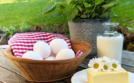 В Омской области сократились объемы производства мяса птицы и яиц