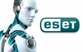 ESET: каждая десятая компания Южного федерального округа столкнулась с целевыми кибератаками