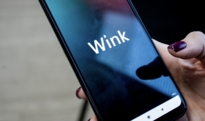 Два кота и домовой: любимые персонажи из детства в исследовании Wink и Литрес