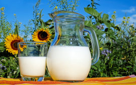 Виктория Абрамченко призвала разработать меры для сдерживания цен на молоко