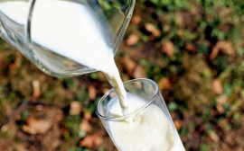 В Омске появится отдельная программа субсидирования производителей молока