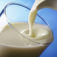 Производителей молочных продуктов будут штрафовать за использование пальмового масла