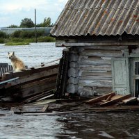 Правительство РФ выделит Омской области на ликвидацию последствий паводка 600 млн рублей