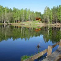 В Омской области чиновники Нижнеомского района сдали в аренду участок земли на дне озера
