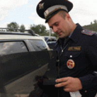 Жителям Омской области могут втрое увеличить штрафы за тонировку стекол в автомобиле