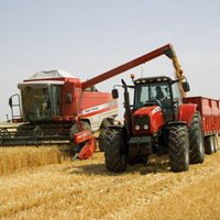 Омская область произвела 1,9% сельхозпродукции РФ