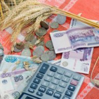 Власти Омской области выделят 55 млн рублей на развитие сельскохозяйственных кооперативов