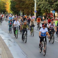 Власти Омска планируют пересадить горожан с автомобилей на велосипеды