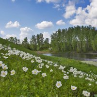 В Омской области развивается экологический туризм