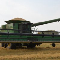Аграрии Омской области в ближайшие сутки получат 2 млн тонн зерна