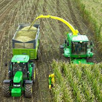 В Омской области урожайность кукурузы превышает прошлогодние показатели
