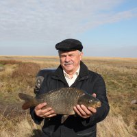 Сформированная в Омской области отрасль товарного рыбоводства демонстрирует высокие результаты