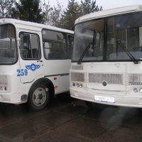 Автопарк Омской области пополнился 11 новыми автобусами