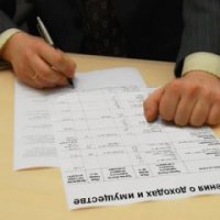Правительством Омской области утвержден Порядок размещения сведений о доходах и имуществе руководителей госучреждений