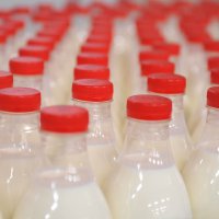 Молочные интервенции станут дополнительным стимулом развития животноводства Омской области