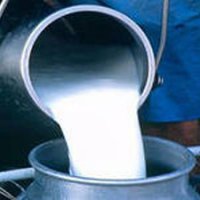 Лучшие сдатчики молока Омской области получат в награду доильные аппараты