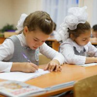 Четверть школ Омской области участвует в проверке знаний по русскому языку среди учащихся вторых и пятых классов