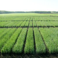 АПК Омской области нацеливают на повышение рентабельности производства сельхозпродукции