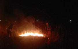 Рядом с двумя омскими заводами загорелся сухостой