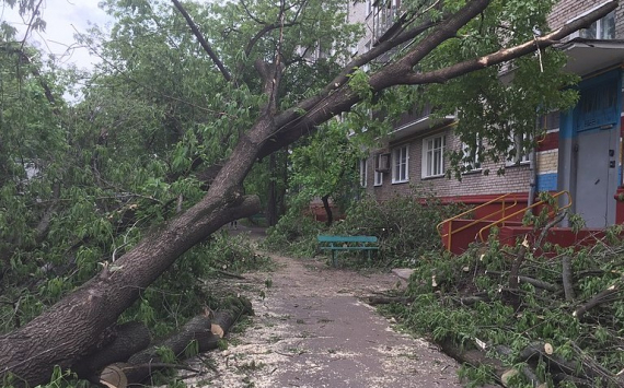 В Омской области ущерб от урагана оценили в 165 млн рублей