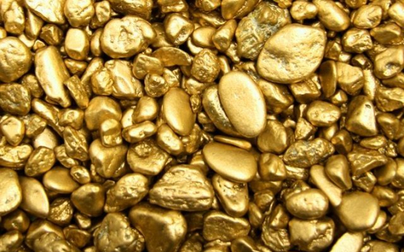 Владельцы «Ксеньевского прииска» не собираются продавать золотой запас за рубеж