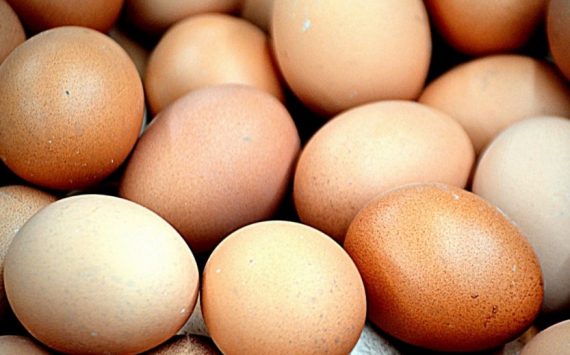 В Омской области пообещали к лету опустить стоимость яиц