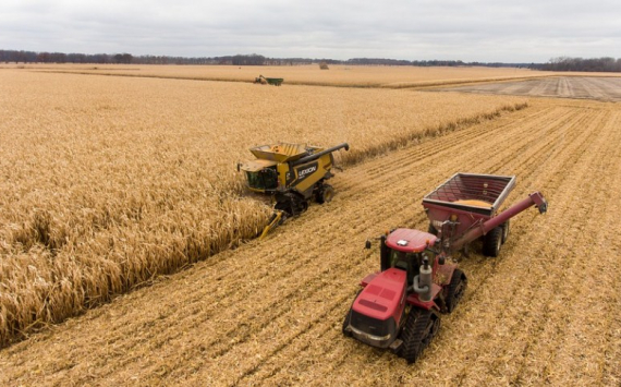 Экономист Колташов: В России аграрии отстанут от других стран без льготных кредитов