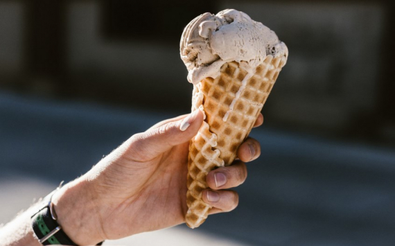 Шелест призвал омский бизнес сотрудничать с производителем мороженого в Гомеле