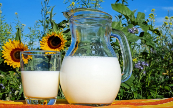 В Омской области на обновление молочного производства выделят 50 млн рублей