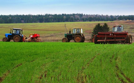 Эксперты: В Омской области за 10 лет стало в два раза меньше фермеров