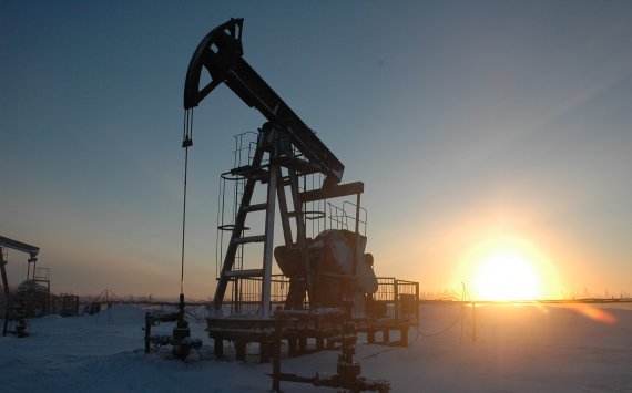 В Омской области на торги выставят четыре участка недр для добычи нефти