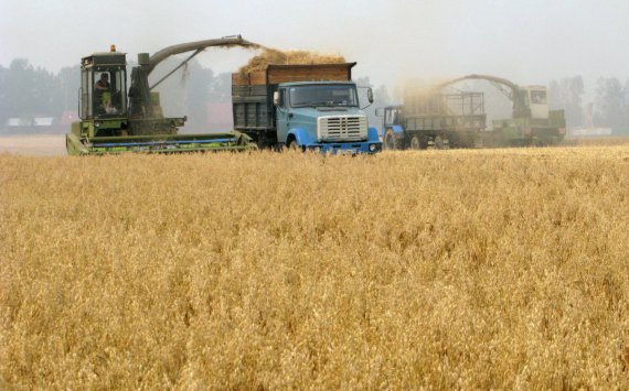 Бурков попросил увеличить лимит экспорта омского зерна‍