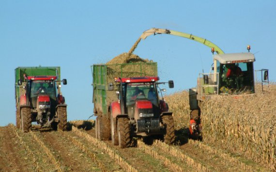 Омская область выделит на сельское хозяйство более 151 млн рублей